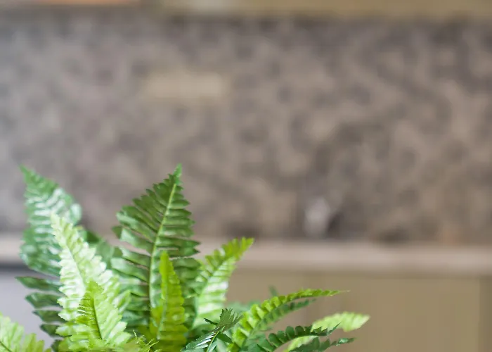 Sweet Naxos Aparthotel 3*